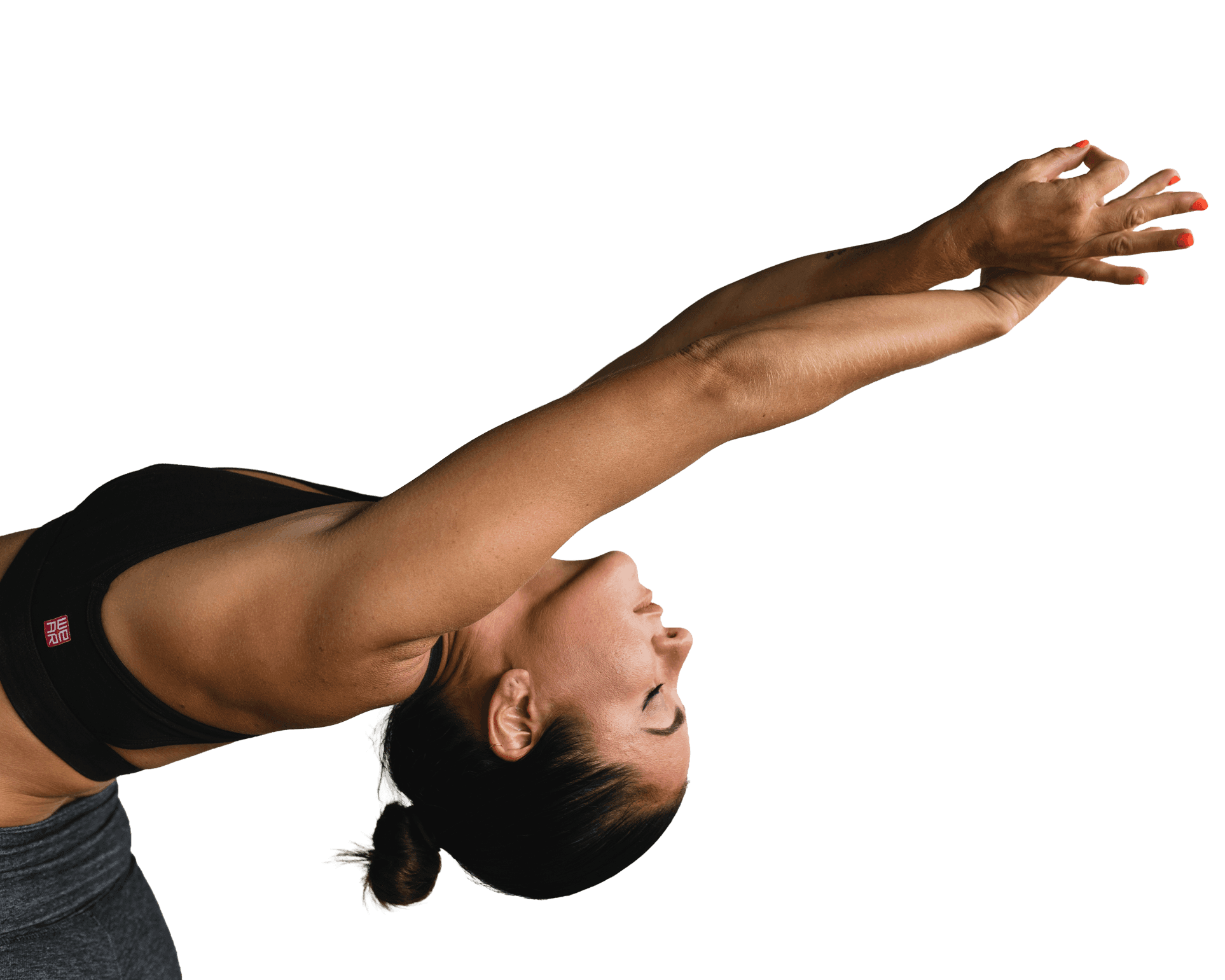 Fitness expert
