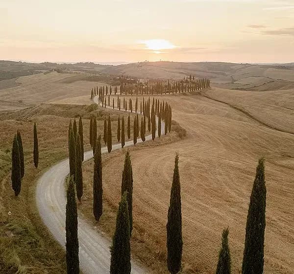 Strada di cipressi nella campagna toscana al tramonto